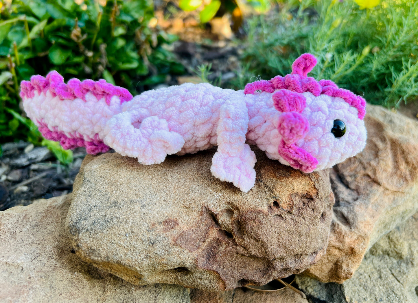 Axolotl