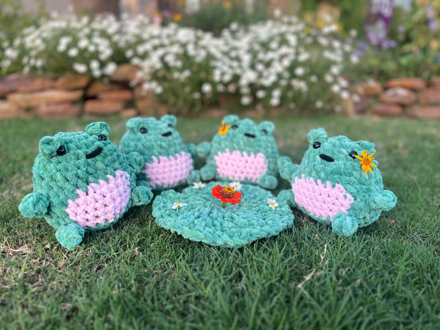 Frog
