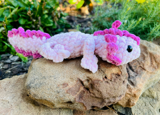 Axolotl
