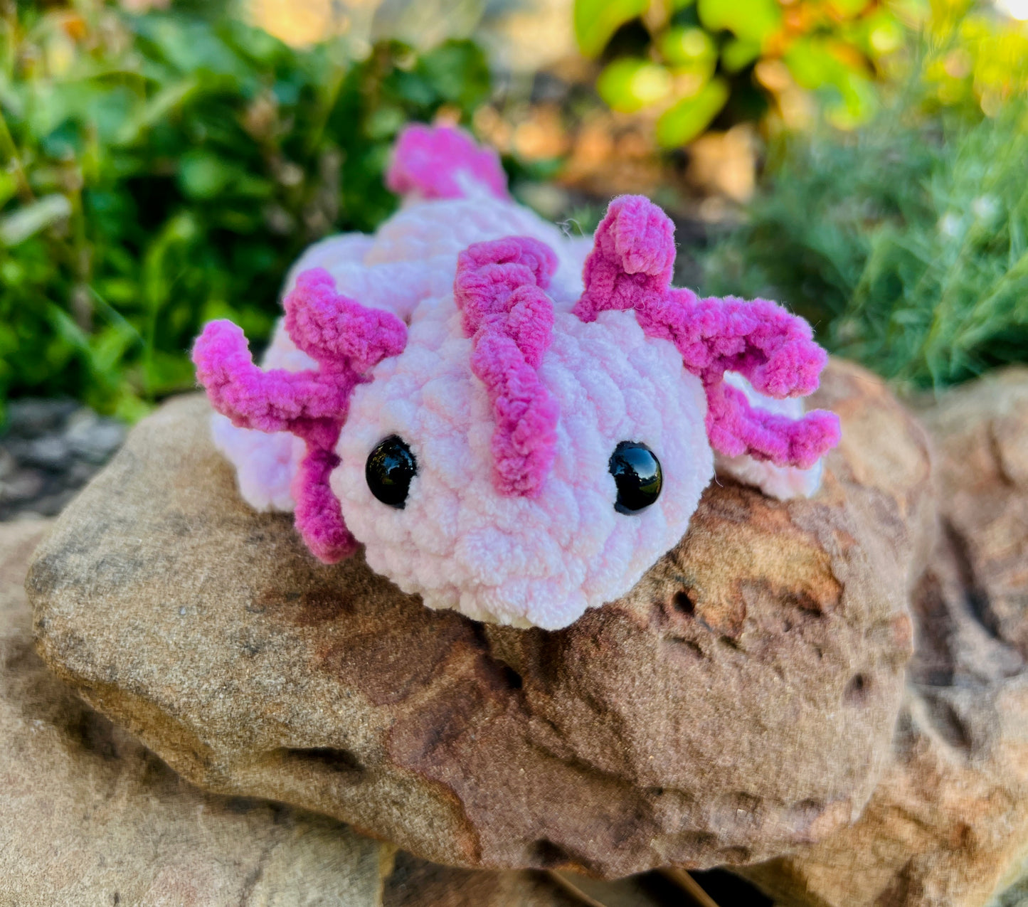 Axolotl
