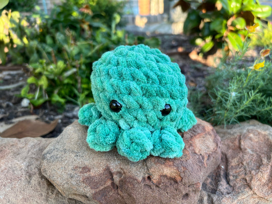 Octopus