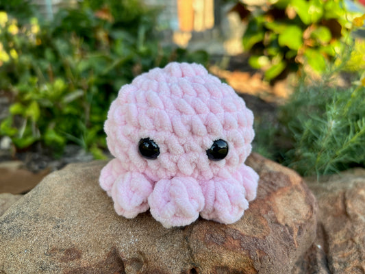 Small Octopus