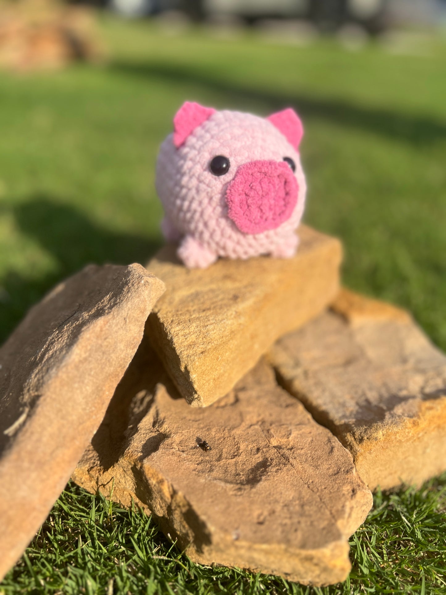 Pig